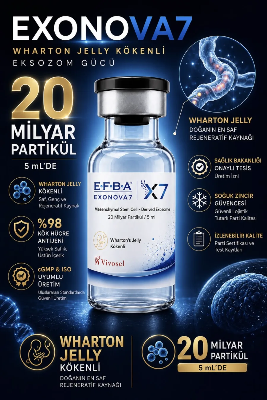 EFBA EXONOVA7 — Wharton's Jelly kaynaklı eksozom flakonu